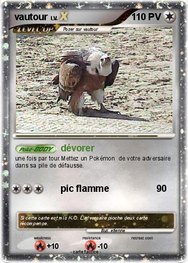 Pokemon vautour