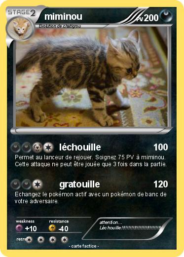 Pokemon miminou