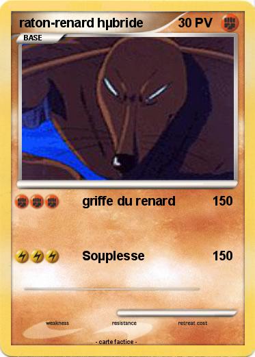 Pokemon raton-renard hµbride