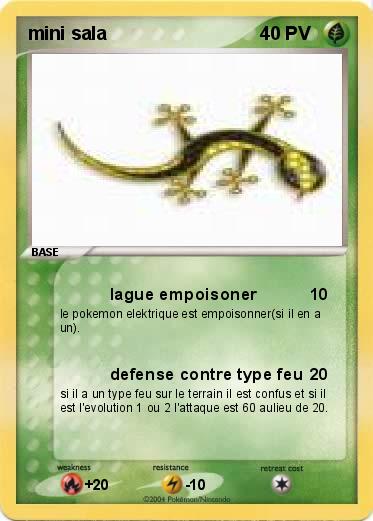 Pokemon mini sala