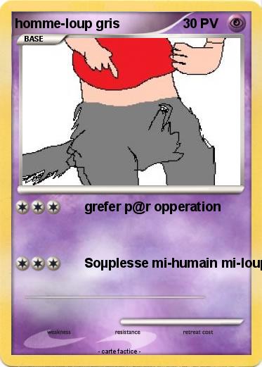 Pokemon homme-loup gris