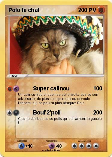 Pokemon Polo le chat