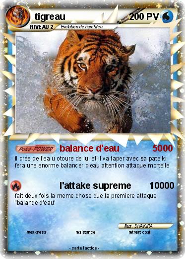 Pokemon tigreau