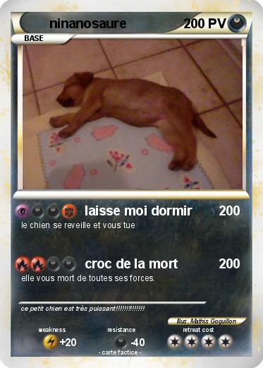 Pokemon ninanosaure