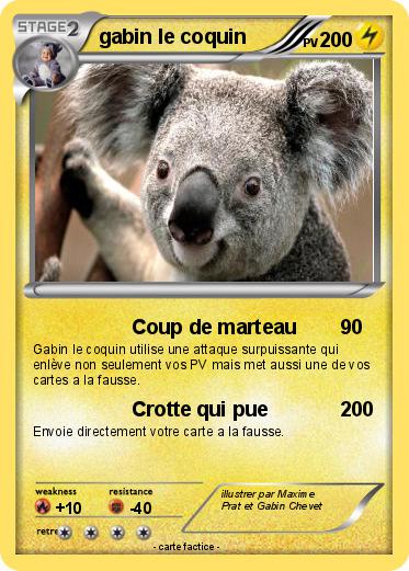 Pokemon gabin le coquin