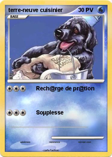 Pokemon terre-neuve cuisinier