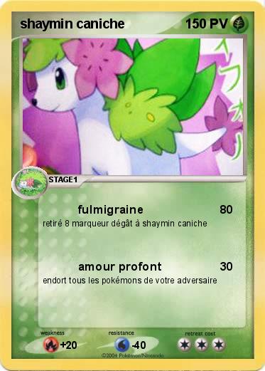 Pokemon shaymin caniche