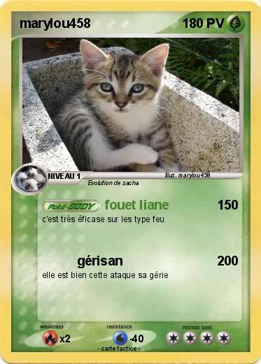 Pokemon marylou458