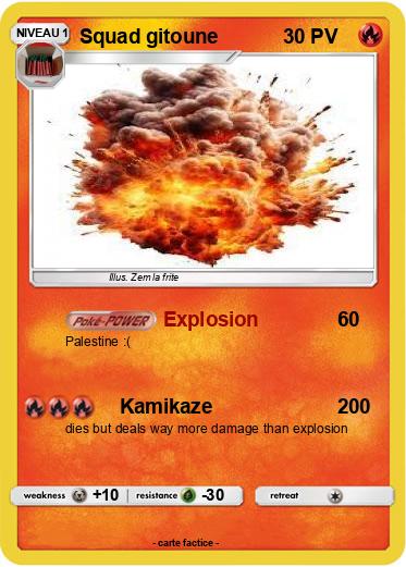 Pokemon Squad gitoune