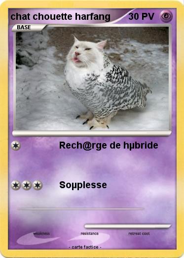 Pokemon chat chouette harfang