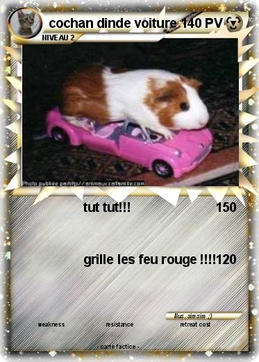 Pokemon cochan dinde voiture