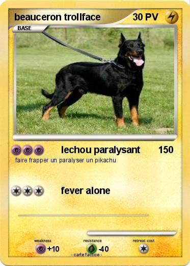 Pokemon beauceron trollface