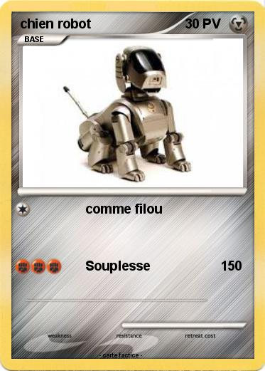 Pokemon chien robot