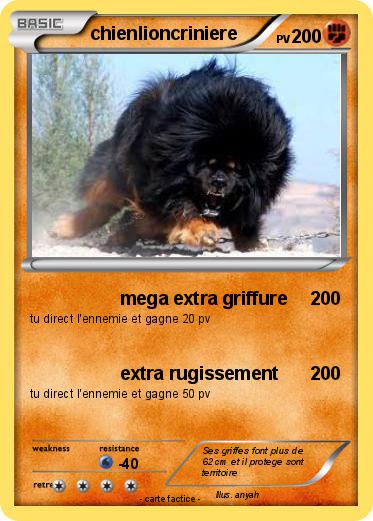 Pokemon chienlioncriniere