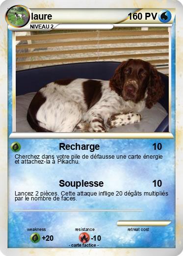 Pokemon laure