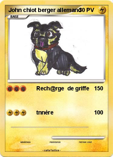Pokemon John chiot berger allemand
