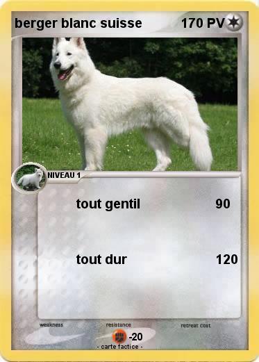 Pokemon berger blanc suisse