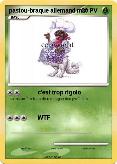 Pokemon pastou-braque allemand mix