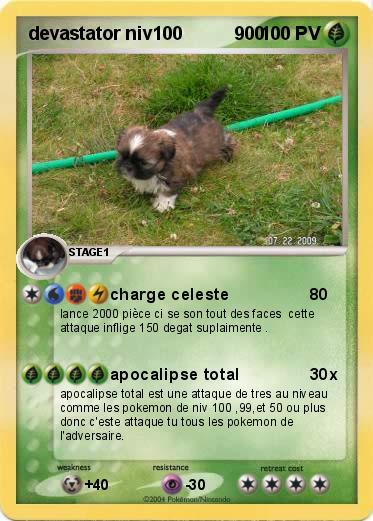Pokemon devastator niv100          900
