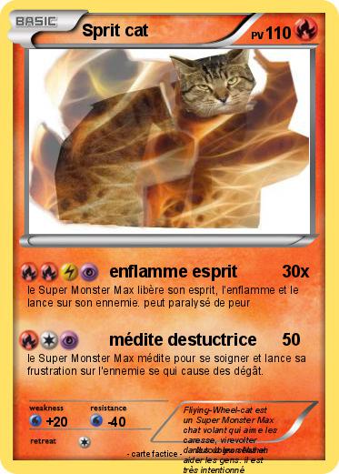 Pokemon Sprit cat