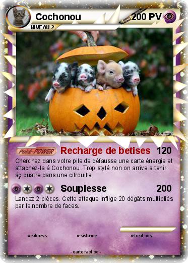 Pokemon Cochonou