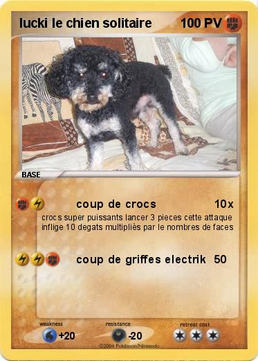 Pokemon lucki le chien solitaire