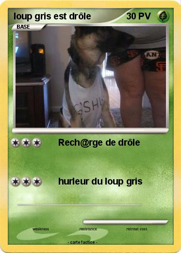 Pokemon loup gris est drôle