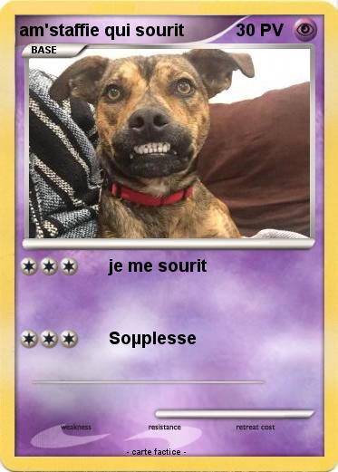 Pokemon am'staffie qui sourit