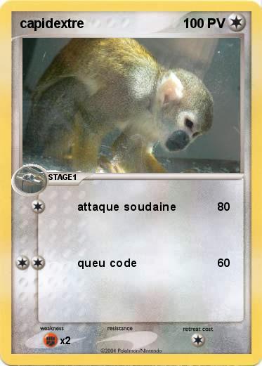 Pokemon capidextre