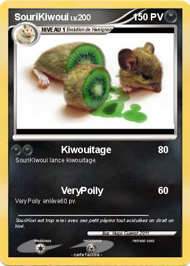 Pokemon SouriKiwoui