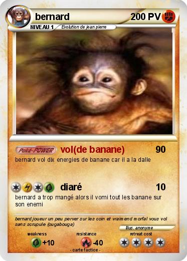 Pokemon bernard