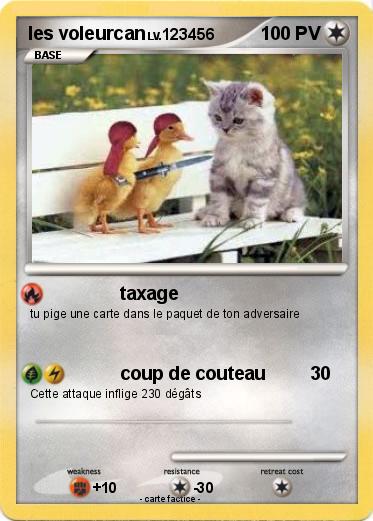 Pokemon les voleurcan