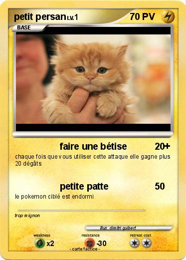 Pokemon petit persan