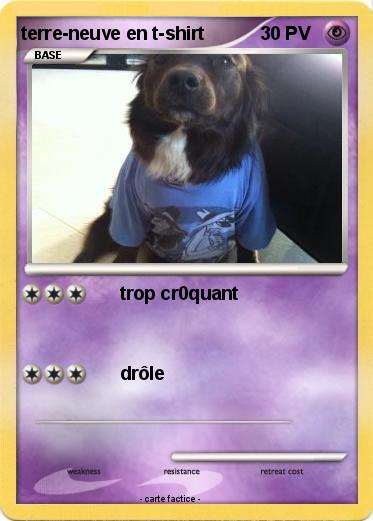 Pokemon terre-neuve en t-shirt