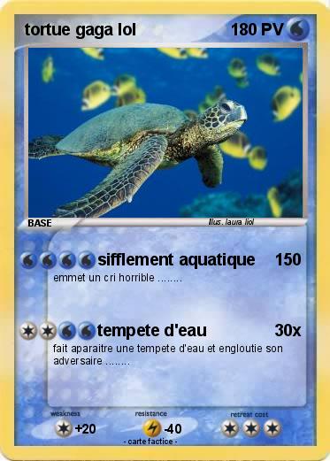 Pokemon tortue gaga lol