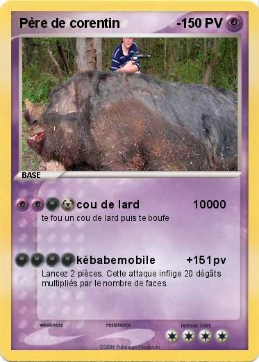 Pokemon Père de corentin                -  