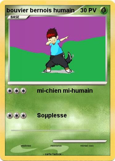 Pokemon bouvier bernois humain