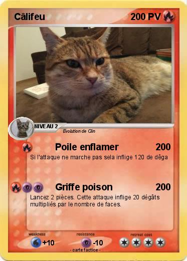 Pokemon Câlifeu