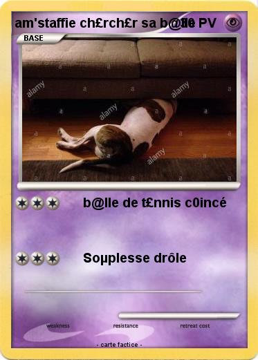 Pokemon am'staffie ch£rch£r sa b@lle