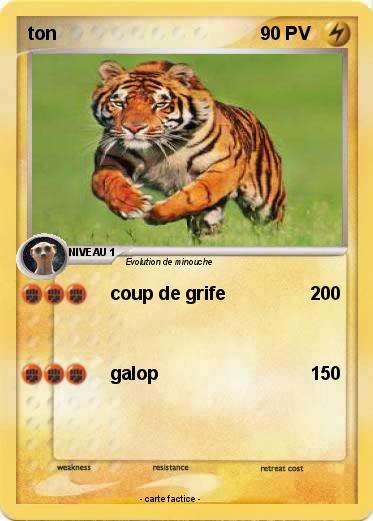 Pokemon ton