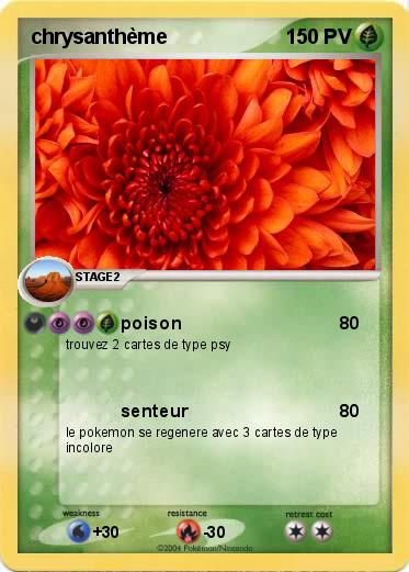 Pokemon chrysanthème