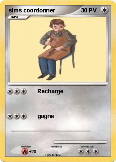 Pokemon sims coordonner