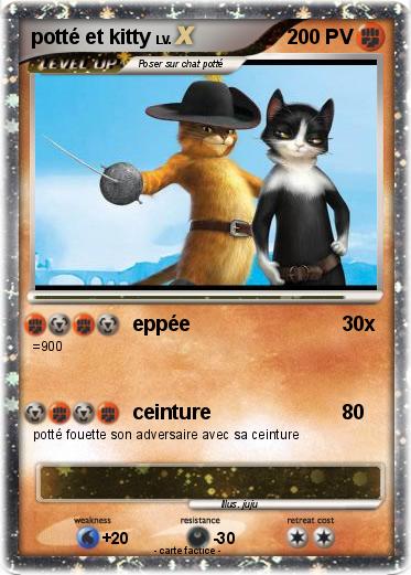 Pokemon potté et kitty