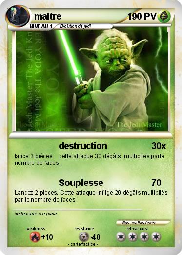 Pokemon maitre