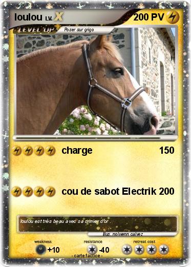 Pokemon loulou