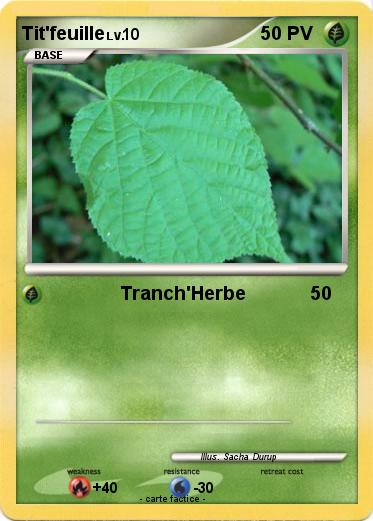 Pokemon Tit'feuille