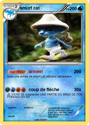 Pokemon smurf cat