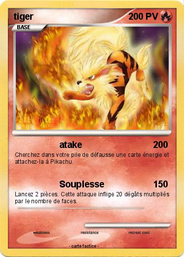 Pokemon tiger