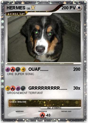 Pokemon HERMES