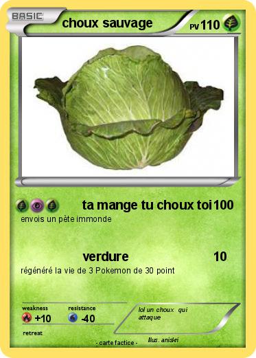 Pokemon choux sauvage